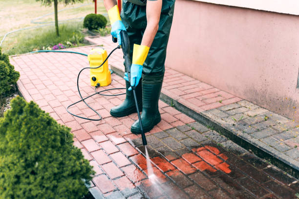 Best Gutter Cleaning  in Houghton, NY